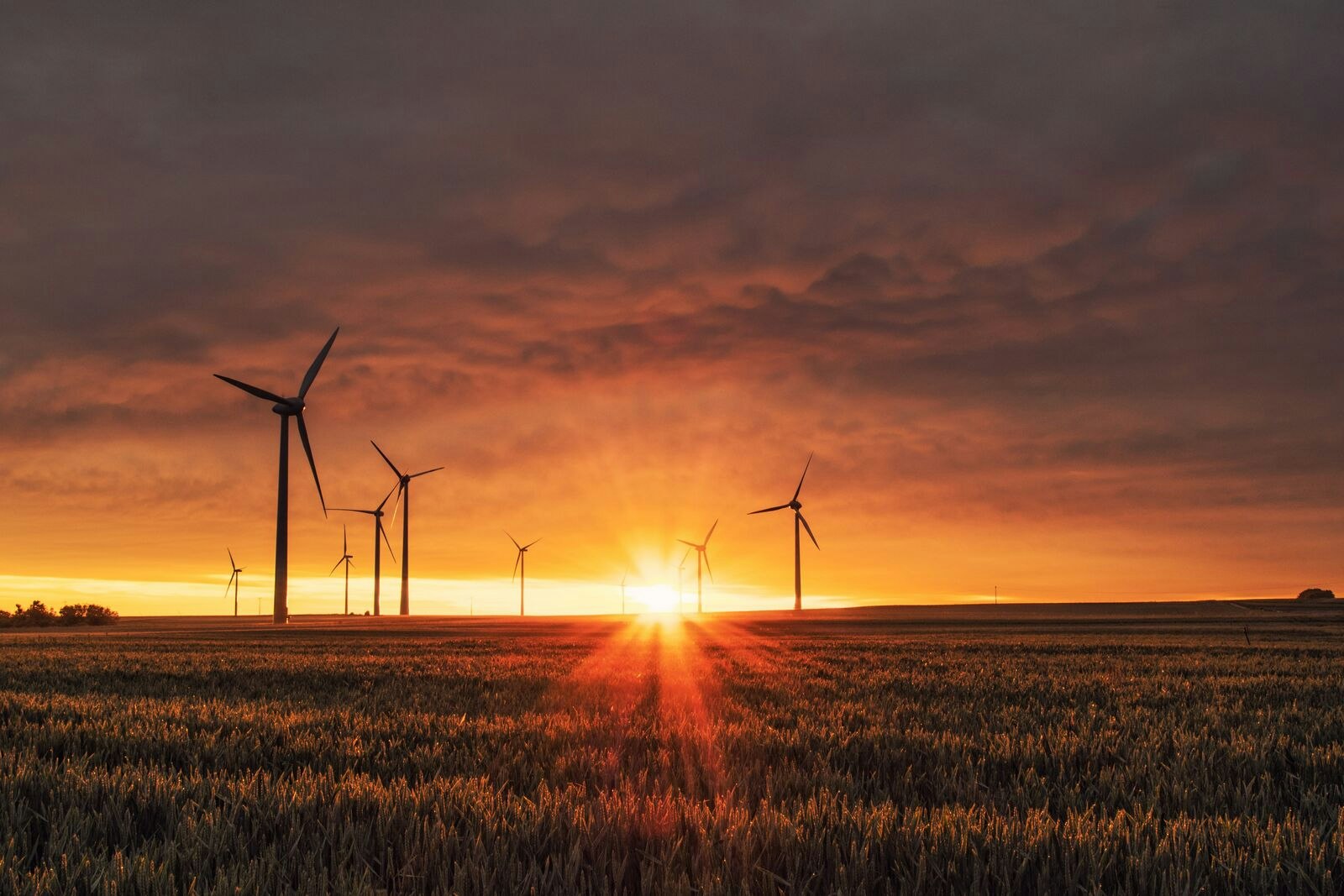 Wind Turbine Farm at Sunset