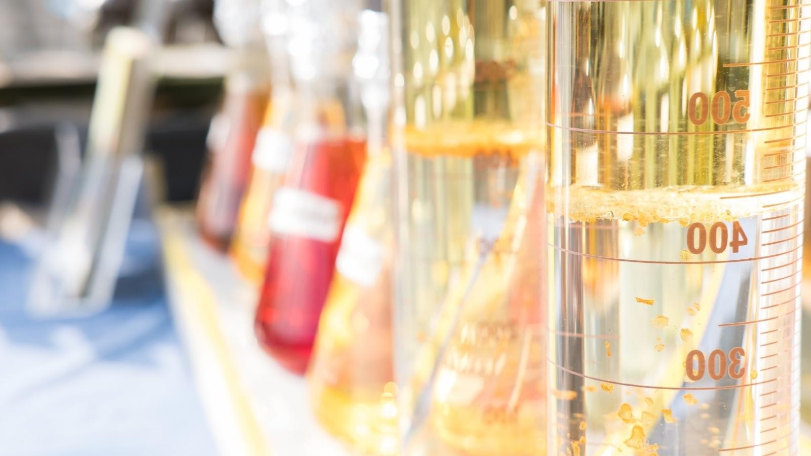 Biofuels International Conference & Expo SGS