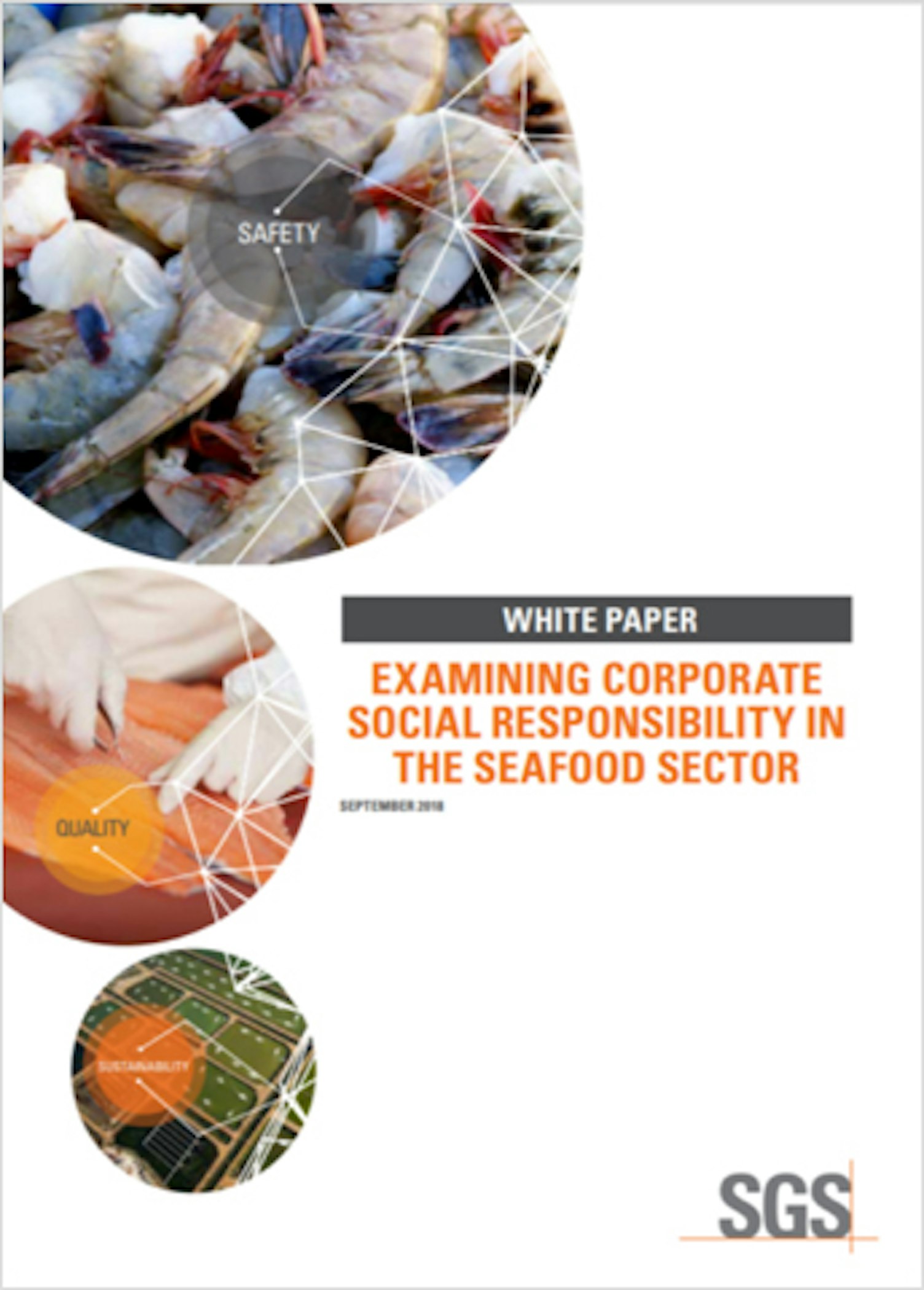 Examining Corporate Social Responsibility in the Seafood Sector