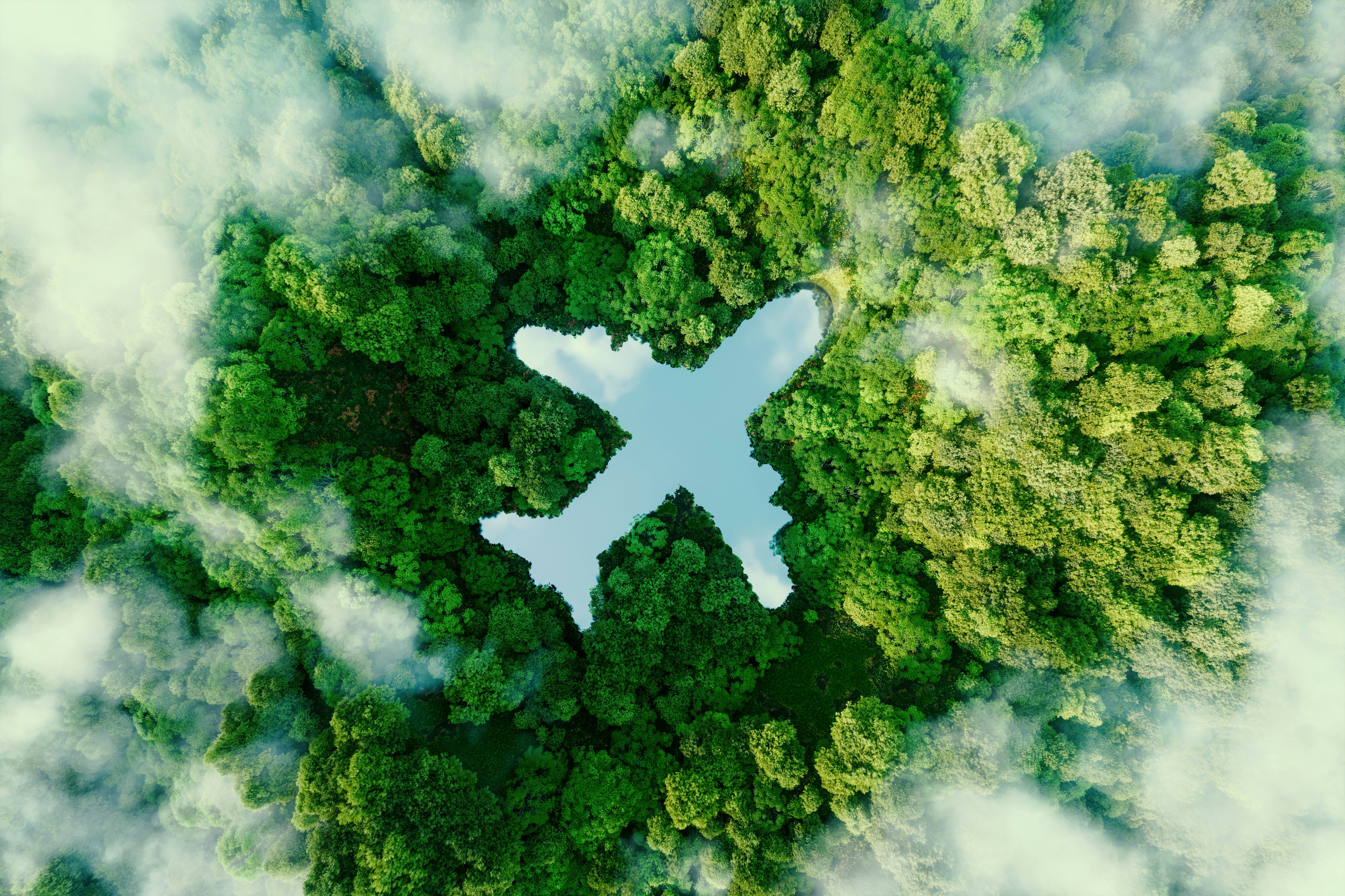 A lake in the shape of an airplane in the middle of untouched nature