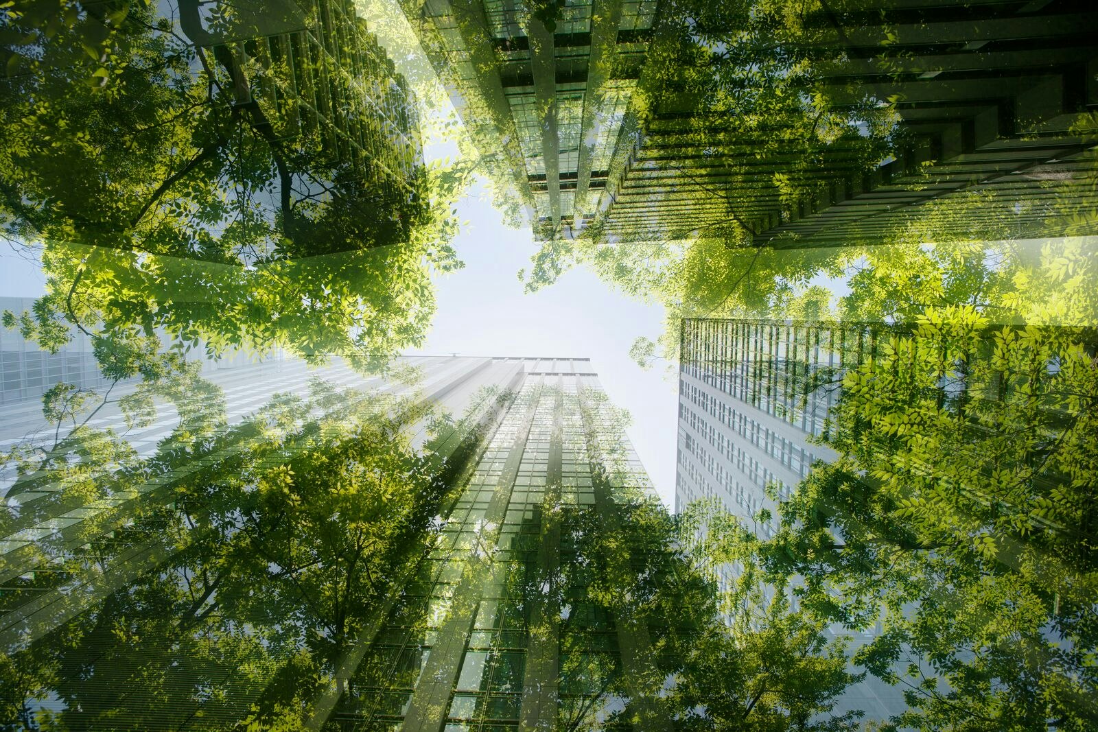 Cityscape Green Concept