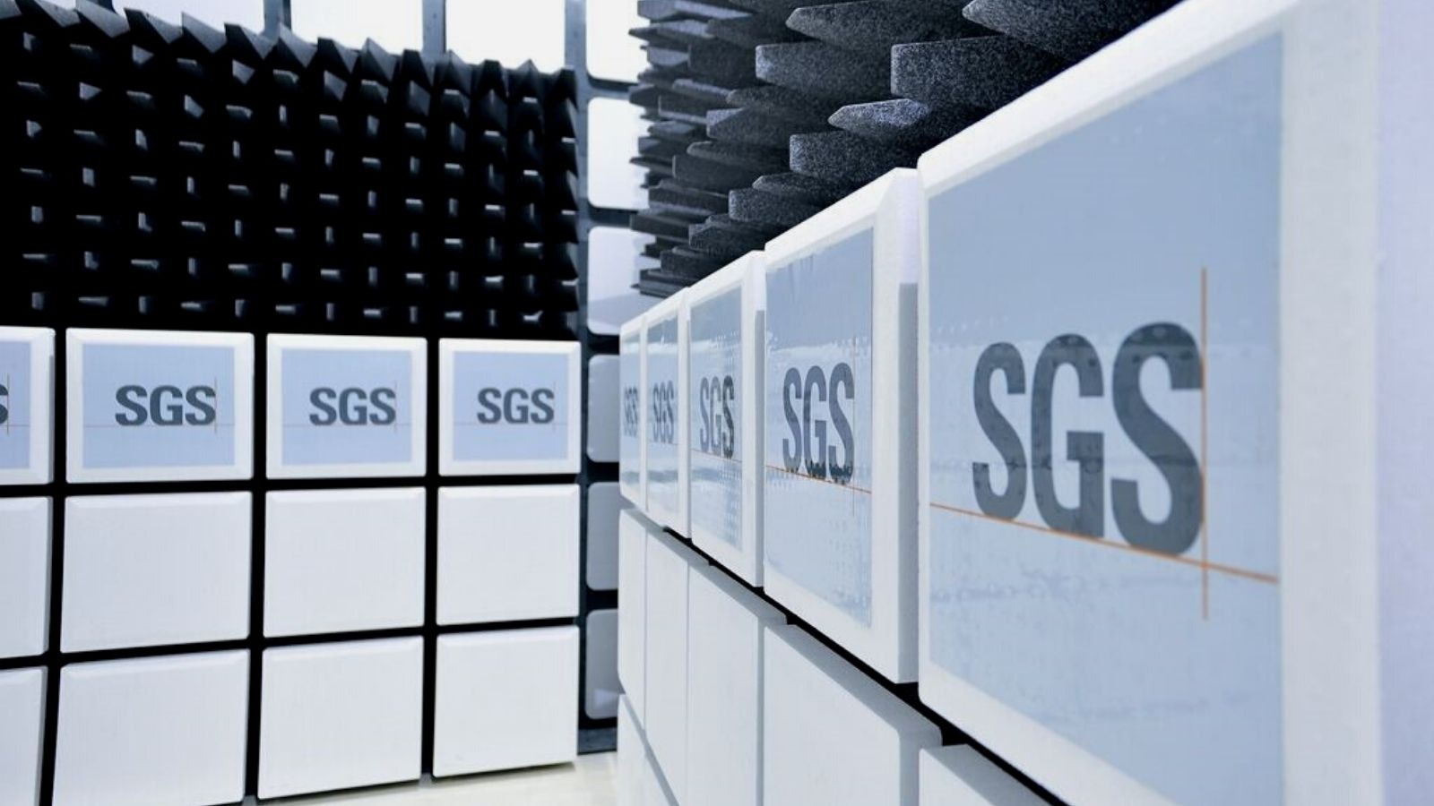 MS Partnership