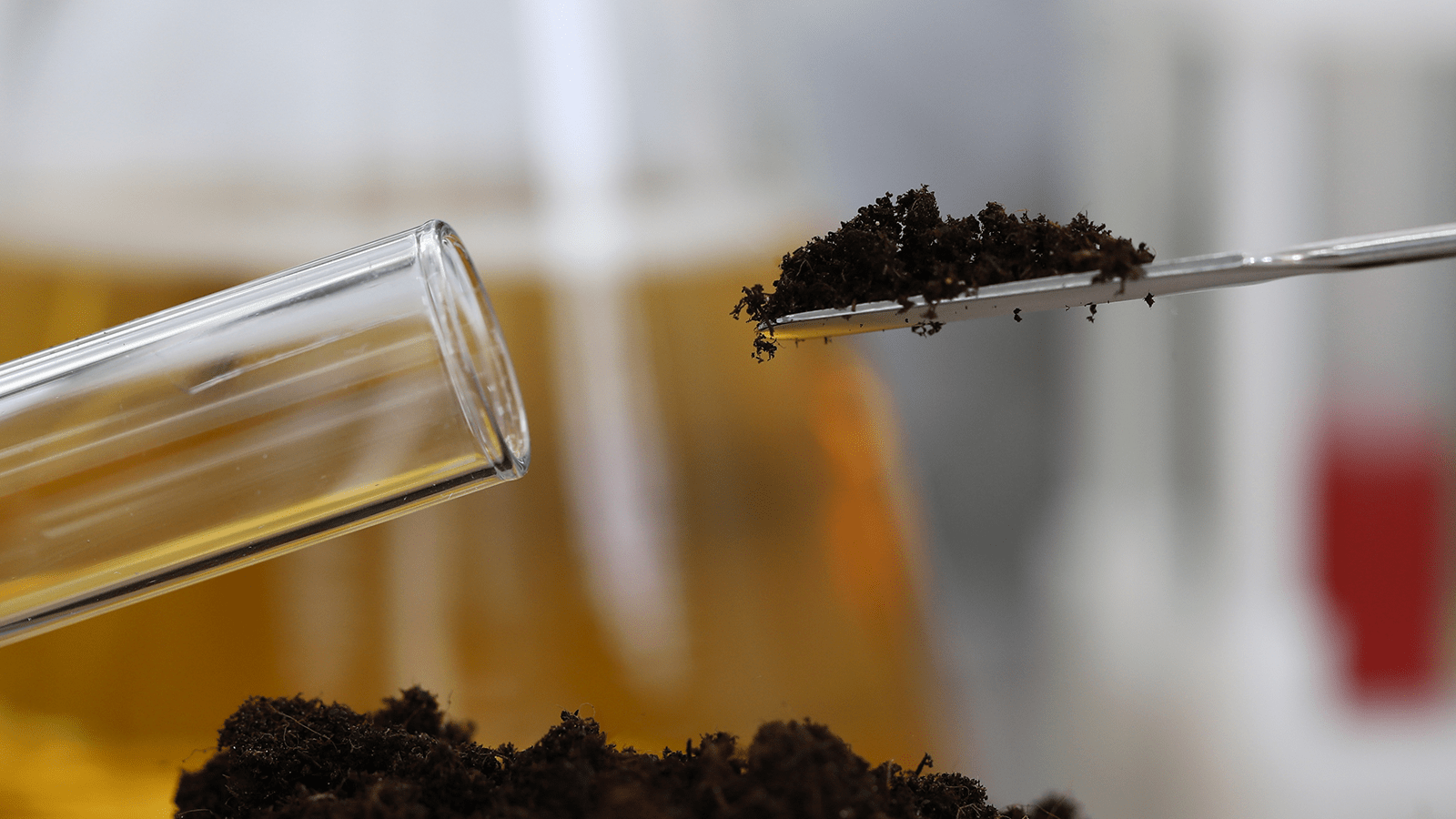 Soil Testing