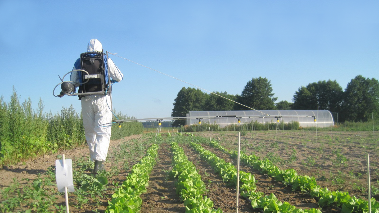 Spraying Pesticide